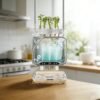 图片处理_副本 Aeroponics Growing System with Grow Light & Humidifier - Smart Indoor Garden, Visual Root Observation, RGB Mood Lighting, for Plants, Seeds, Mushrooms - Desktop Hydroponic Planter