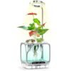 Indoor Growing System with Grow Light & Humidifier – Aeroponic Desktop Planter, Clear Root View, RGB Ambient Light – for Herbs, Greens, Mushrooms