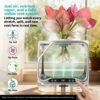 Indoor Growing System with Grow Light & Humidifier – Aeroponic Desktop Planter, Clear Root View, RGB Ambient Light – for Herbs, Greens, Mushrooms