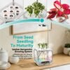 Indoor Growing System with Grow Light & Humidifier – Aeroponic Desktop Planter, Clear Root View, RGB Ambient Light – for Herbs, Greens, Mushrooms