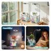 Indoor Growing System with Grow Light & Humidifier – Aeroponic Desktop Planter, Clear Root View, RGB Ambient Light – for Herbs, Greens, Mushrooms