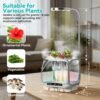 Indoor Growing System with Grow Light & Humidifier – Aeroponic Desktop Planter, Clear Root View, RGB Ambient Light – for Herbs, Greens, Mushrooms